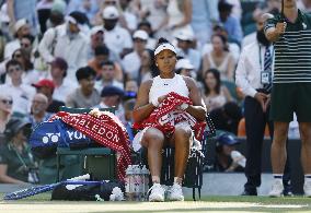 Tennis: Wimbledon championships