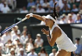 Tennis: Wimbledon championships