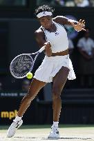 Tennis: Wimbledon championships