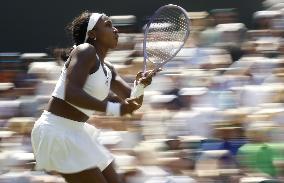 Tennis: Wimbledon championships
