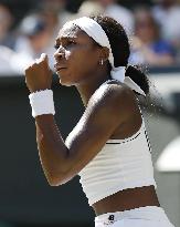 Tennis: Wimbledon championships
