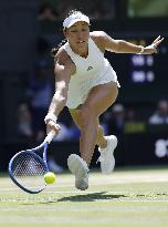 Tennis: Wimbledon championships