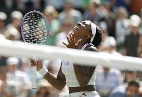 Tennis: Wimbledon championships