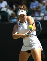 Tennis: Wimbledon championships
