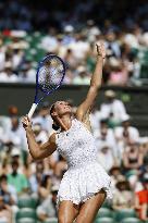 Tennis: Wimbledon championships