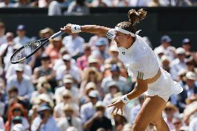 Tennis: Wimbledon championships