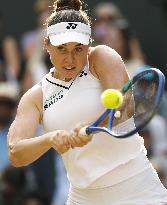 Tennis: Wimbledon championships