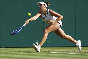 Tennis: Wimbledon championships