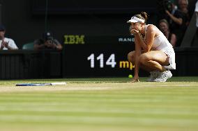 Tennis: Wimbledon championships