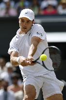 Tennis: Wimbledon championships