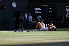 Tennis: Wimbledon championships