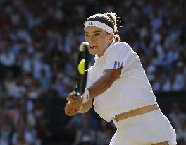 Tennis: Wimbledon championships