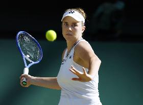 Tennis: Wimbledon championships