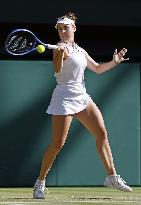 Tennis: Wimbledon championships
