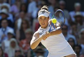 Tennis: Wimbledon championships