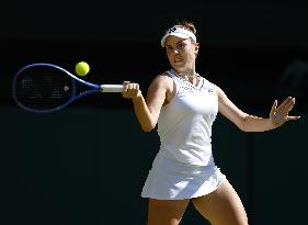 Tennis: Wimbledon championships