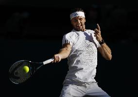 Tennis: Wimbledon championships