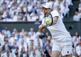 Tennis: Wimbledon championships
