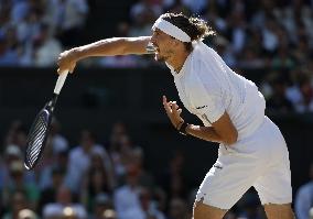 Tennis: Wimbledon championships