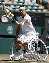 Tennis: Wimbledon championships