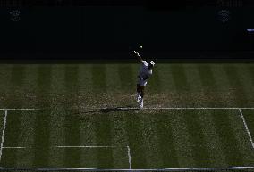 Tennis: Wimbledon championships