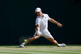 Tennis: Wimbledon championships