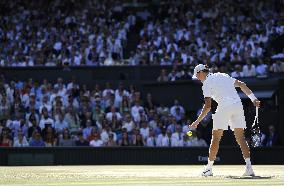 Tennis: Wimbledon championships