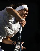 Tennis: Wimbledon championships