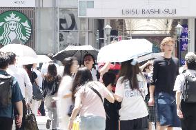 Summer, the image of a parasol