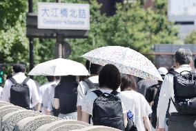 Summer, the image of a parasol