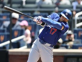 Baseball: Dodgers vs. Mets