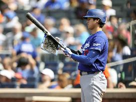 Baseball: Dodgers vs. Mets