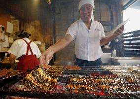 Eel-eating day in Japan