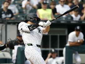Baseball: Astros vs. White Sox
