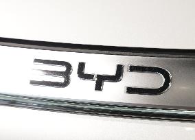 BYD Logo