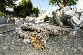 Aftermath of strong earthquake in Kumamoto