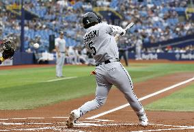 Baseball: White Sox vs. Rays