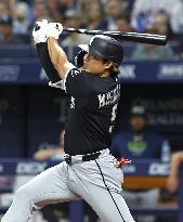 Baseball: White Sox vs. Rays