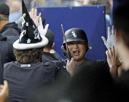 Baseball: White Sox vs. Rays