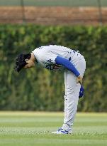 Baseball: Dodgers vs. Cubs