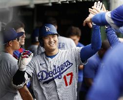 Baseball: Dodgers vs. Cubs