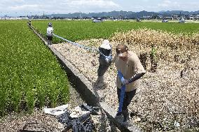 Aftermath of strong earthquake in Kumamoto