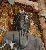 Annual cleaning of Great Buddha of Nara