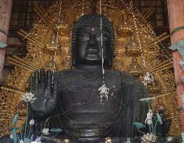 Annual cleaning of Great Buddha of Nara