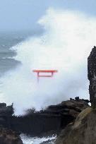 Powerful typhoon in northeastern Japan
