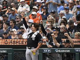 Baseball: White Sox vs. Tigers