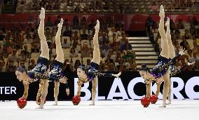 Rhythmic gymnastics: World championships