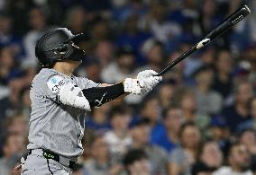 Baseball: White Sox vs. Cubs