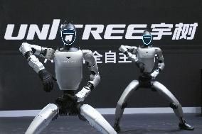 Robot conference in Beijing
