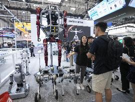Robot conference in Beijing